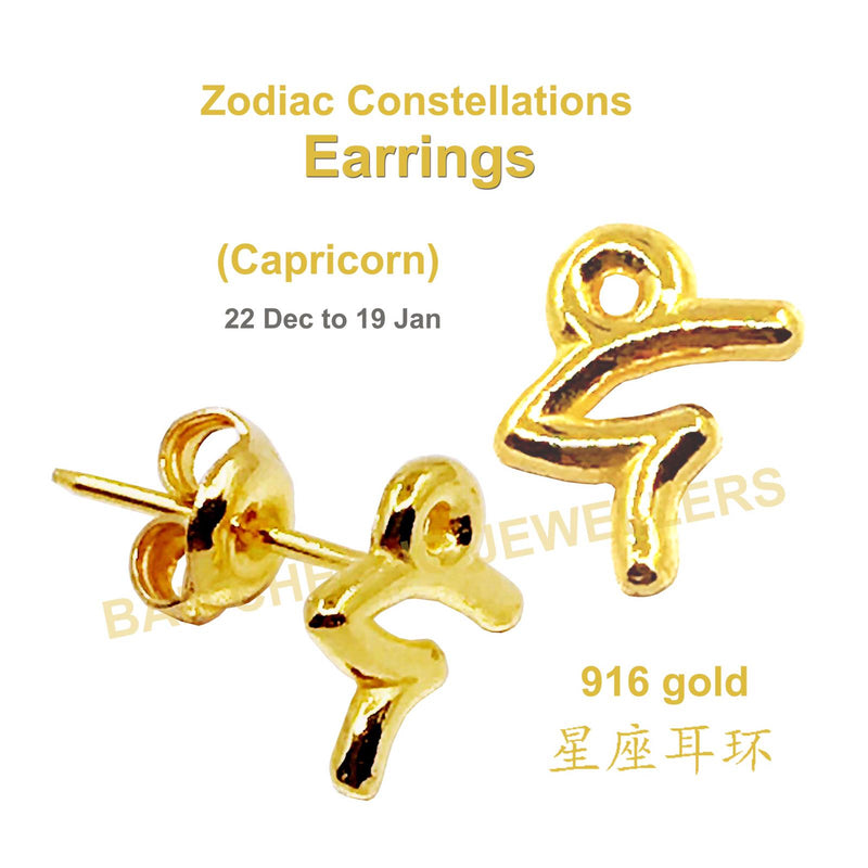 Astrology Earrings